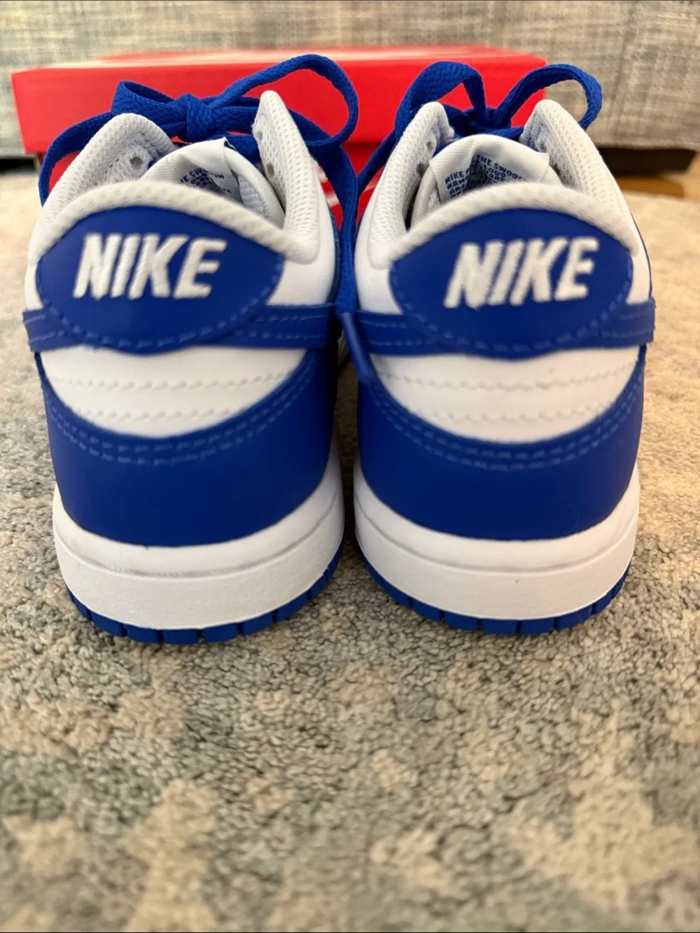 Nike Kids Blue & White Low-Top Dunk Sneakers